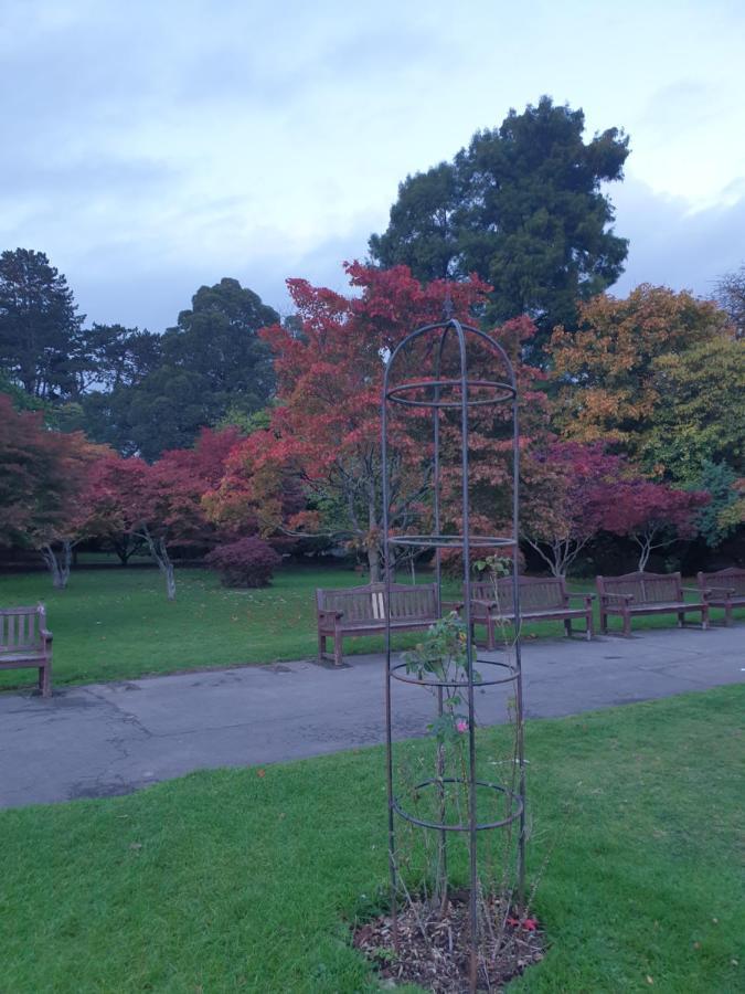 Private Room Near Roath Lake/Park Cardiff Exterior foto